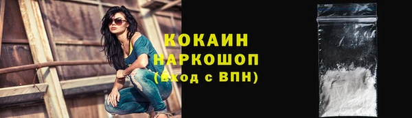 соль ск Алексин