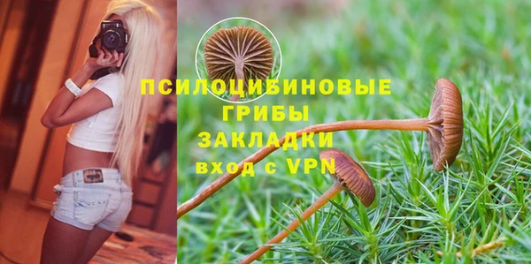 а пвп мука Алзамай