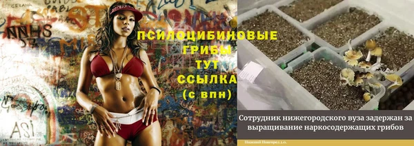 бутират Алексеевка