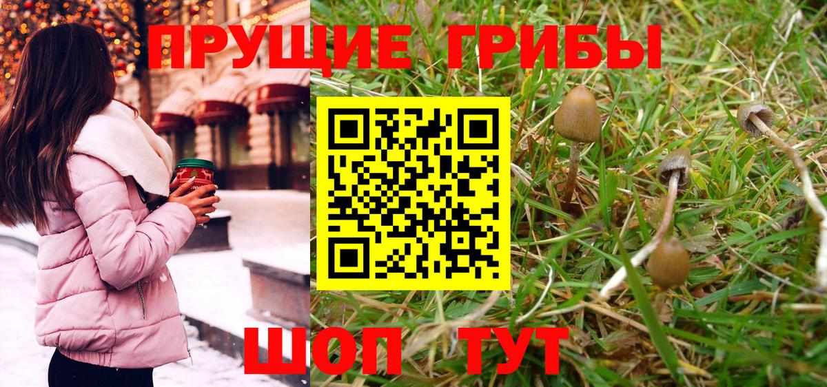 Псилоцибиновые грибы MAGIC MUSHROOMS Алушта